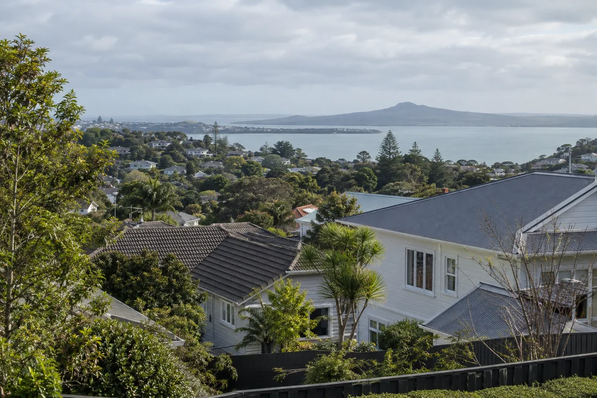 Leafy residential hillside with modest Auckland houses and pitched metal and tile roofs